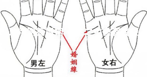 八字測算婚姻 一生之中會有幾段呢